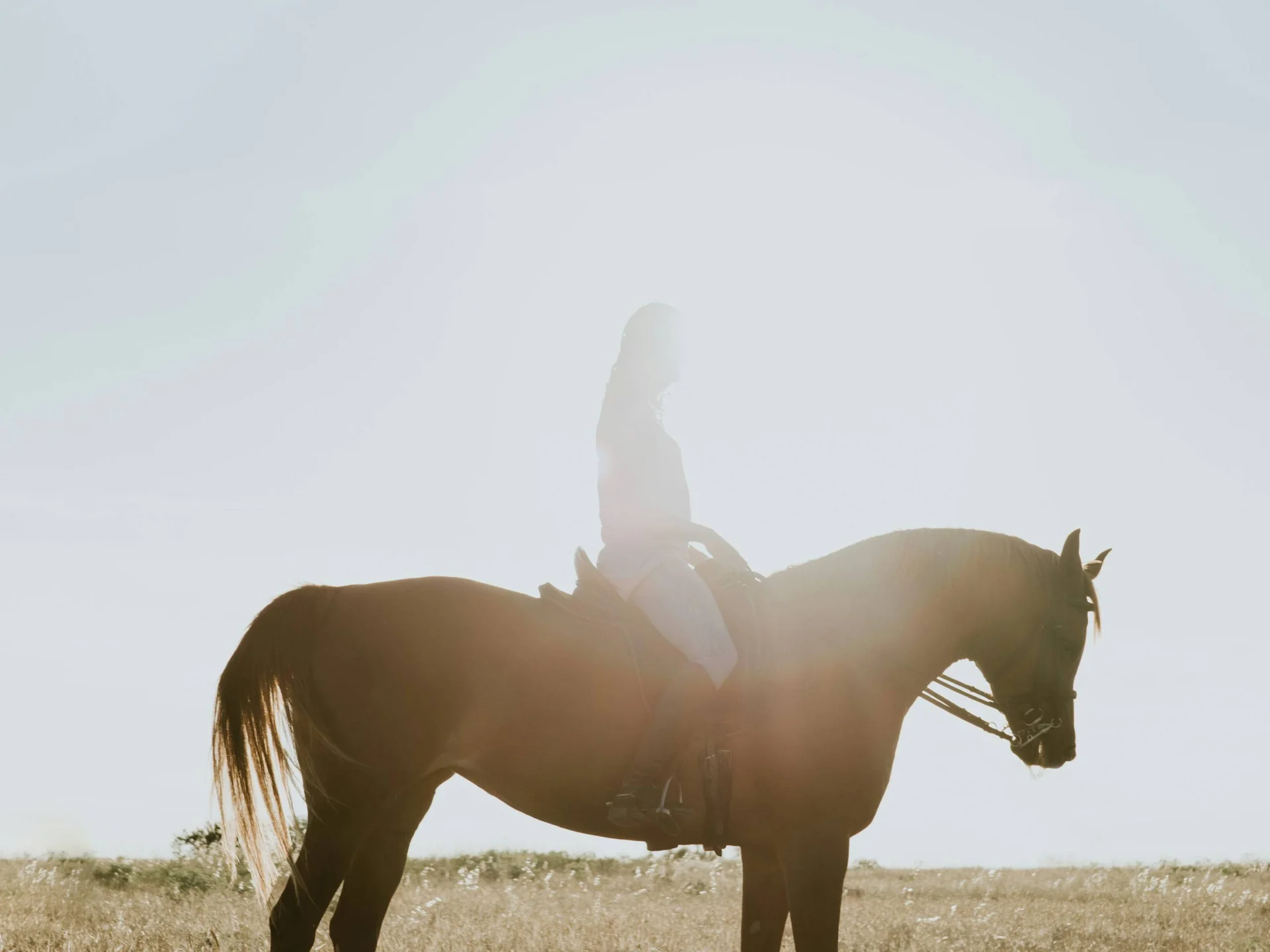 Pictures from Hotel Salnerhof Person sitting on horse in a field with sunlight behind