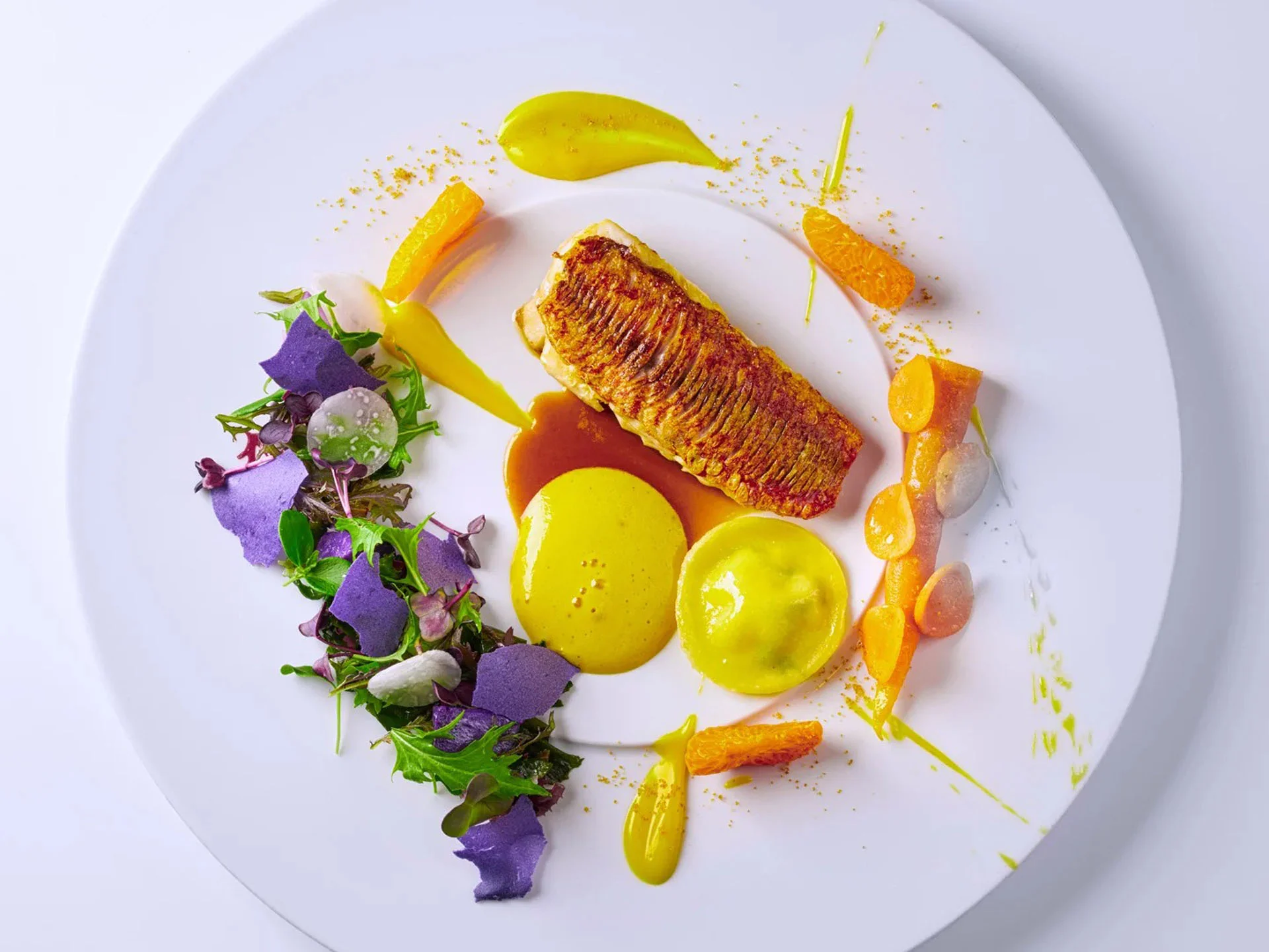 Die Bilder aus dem Hotel Salnerhof Kunstvoll angerichteter Teller mit Fischfilet, buntem Salat und gelben Soßen