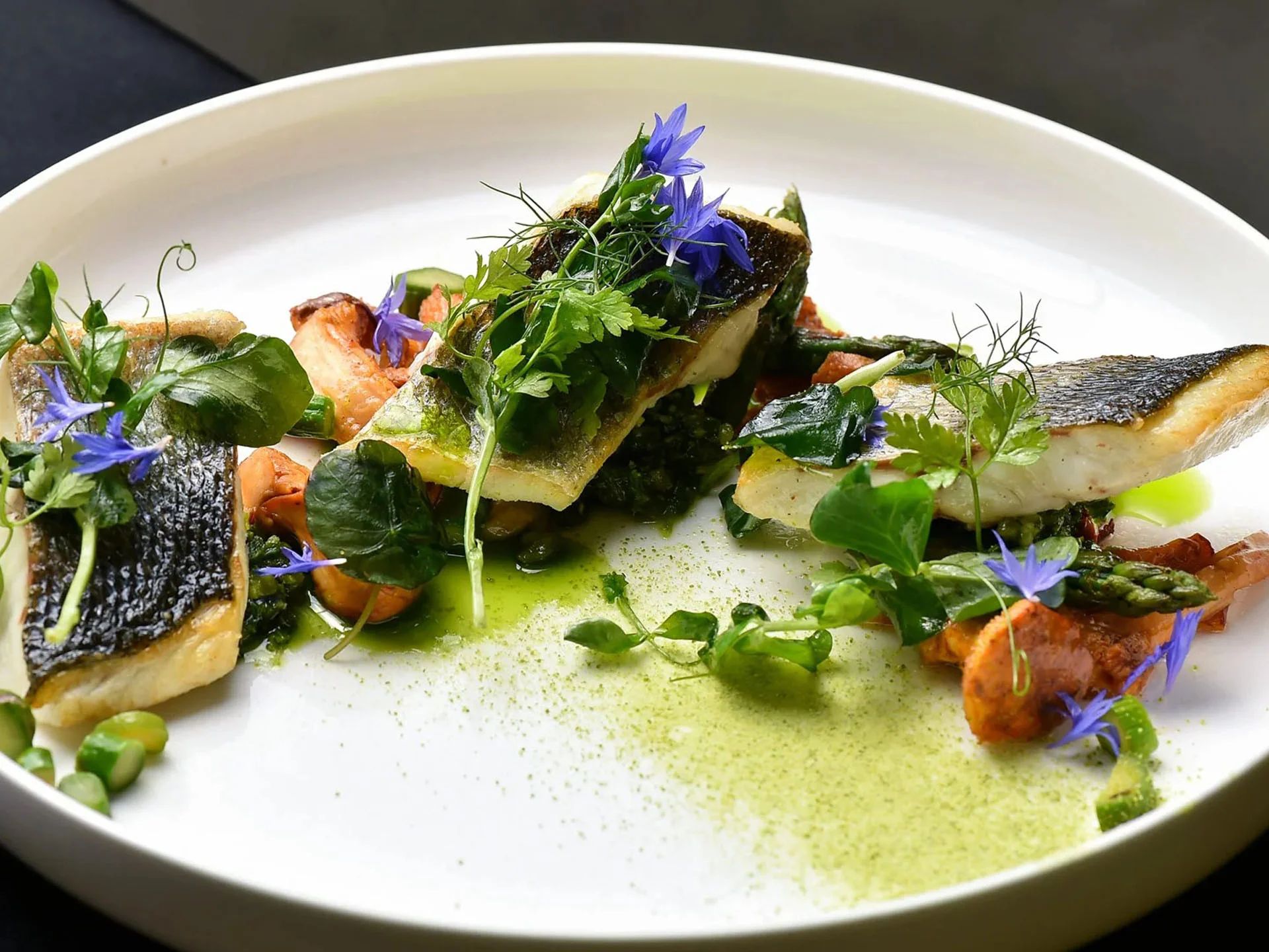 Die Bilder aus dem Hotel Salnerhof Kunstvoll angerichteter Fisch mit grünen Kräutern und essbaren blauen Blüten auf weißem Teller