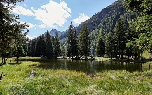 Kleiner See umgeben von Bäumen und Bergen unter blauem Himmel