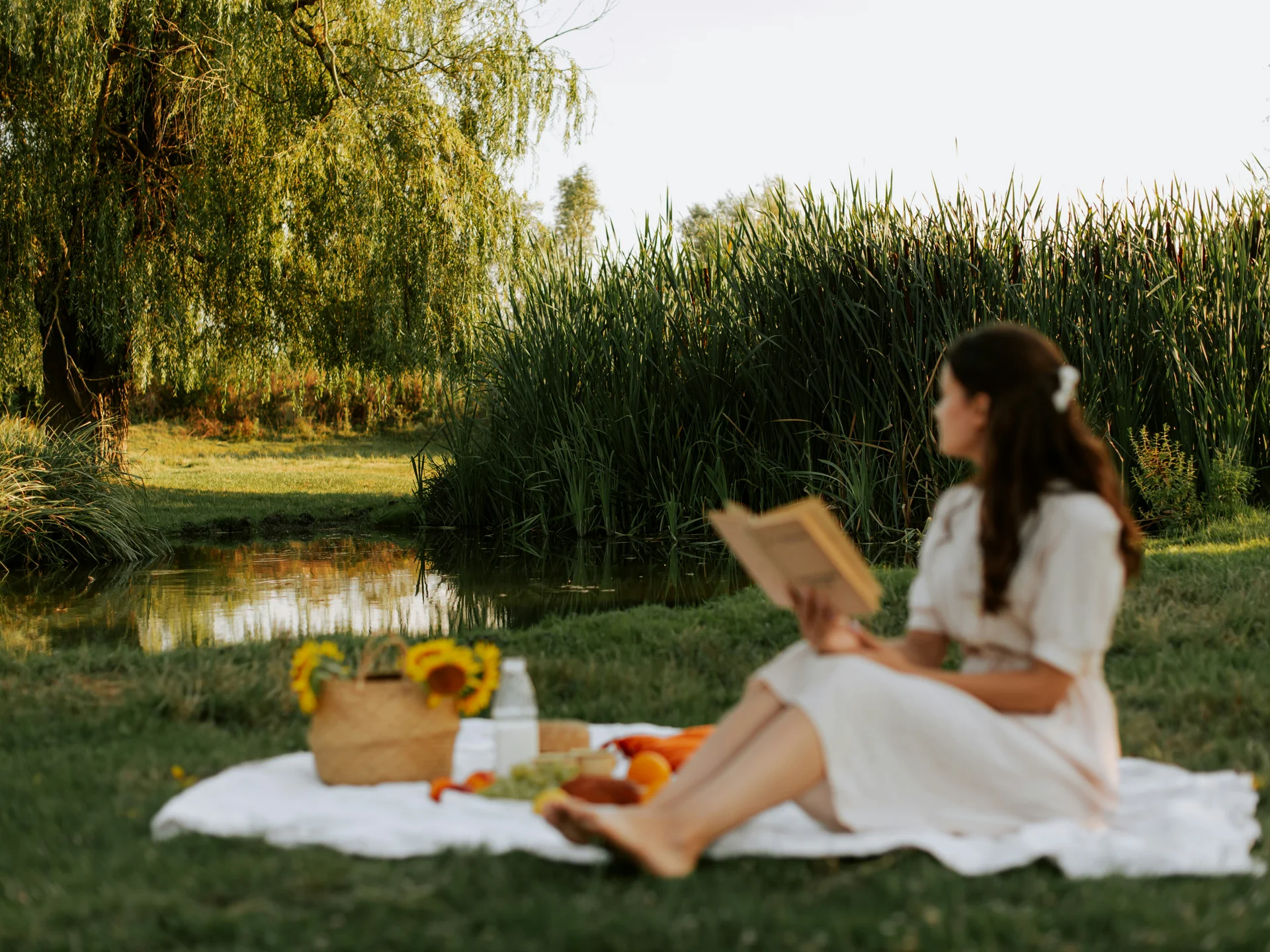 Die Bilder aus dem Hotel Salnerhof Frau liest Buch auf Picknickdecke am Flussufer mit Sonnenblumenkorb