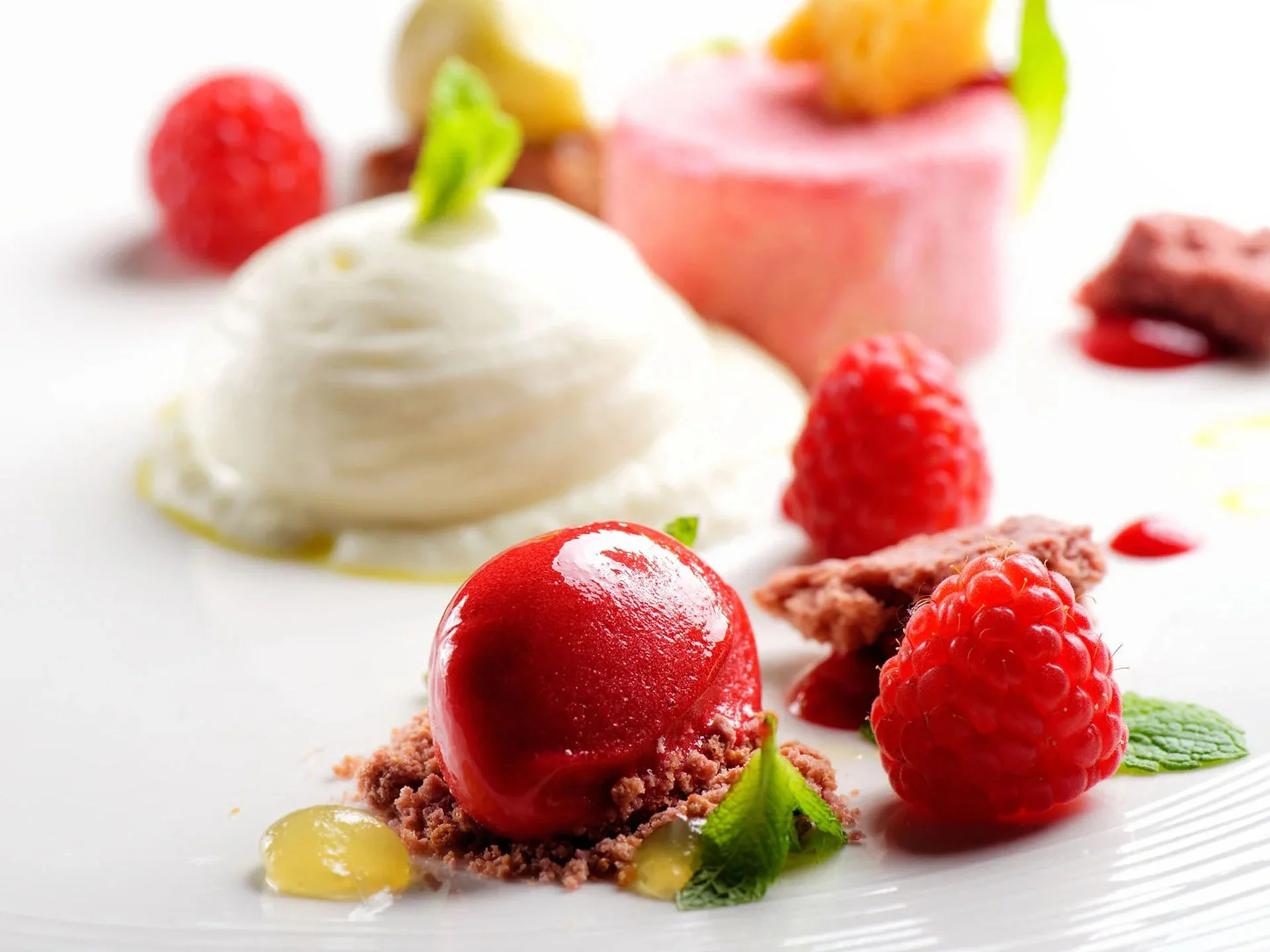 Die Bilder aus dem Hotel Salnerhof Rote Fruchtsorbetkugel mit Himbeeren und Minzblättern auf weißem Teller