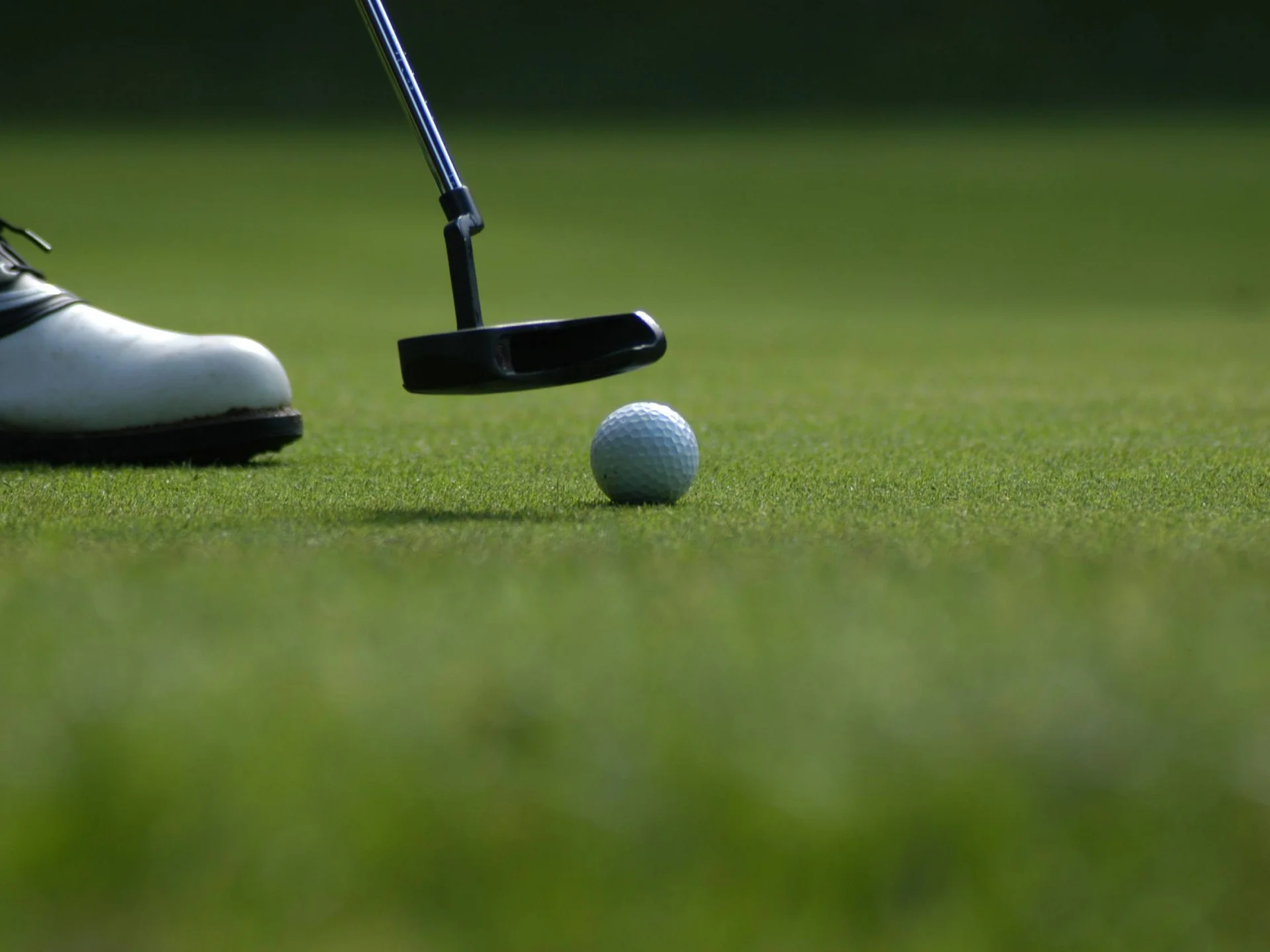 Die Bilder aus dem Hotel Salnerhof Golfball und Putter auf dem grünen Rasen mit Golfschuh im Hintergrund