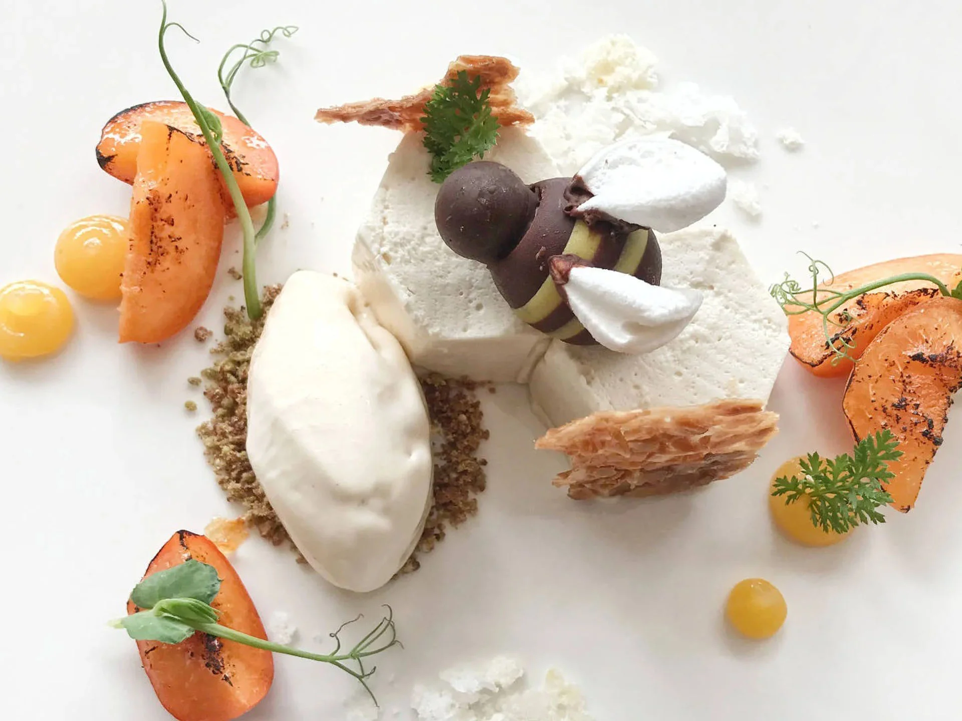 Die Bilder aus dem Hotel Salnerhof Kunstvoll angerichtetes Dessert mit Schokoladenbiene und Früchten auf weißem Teller