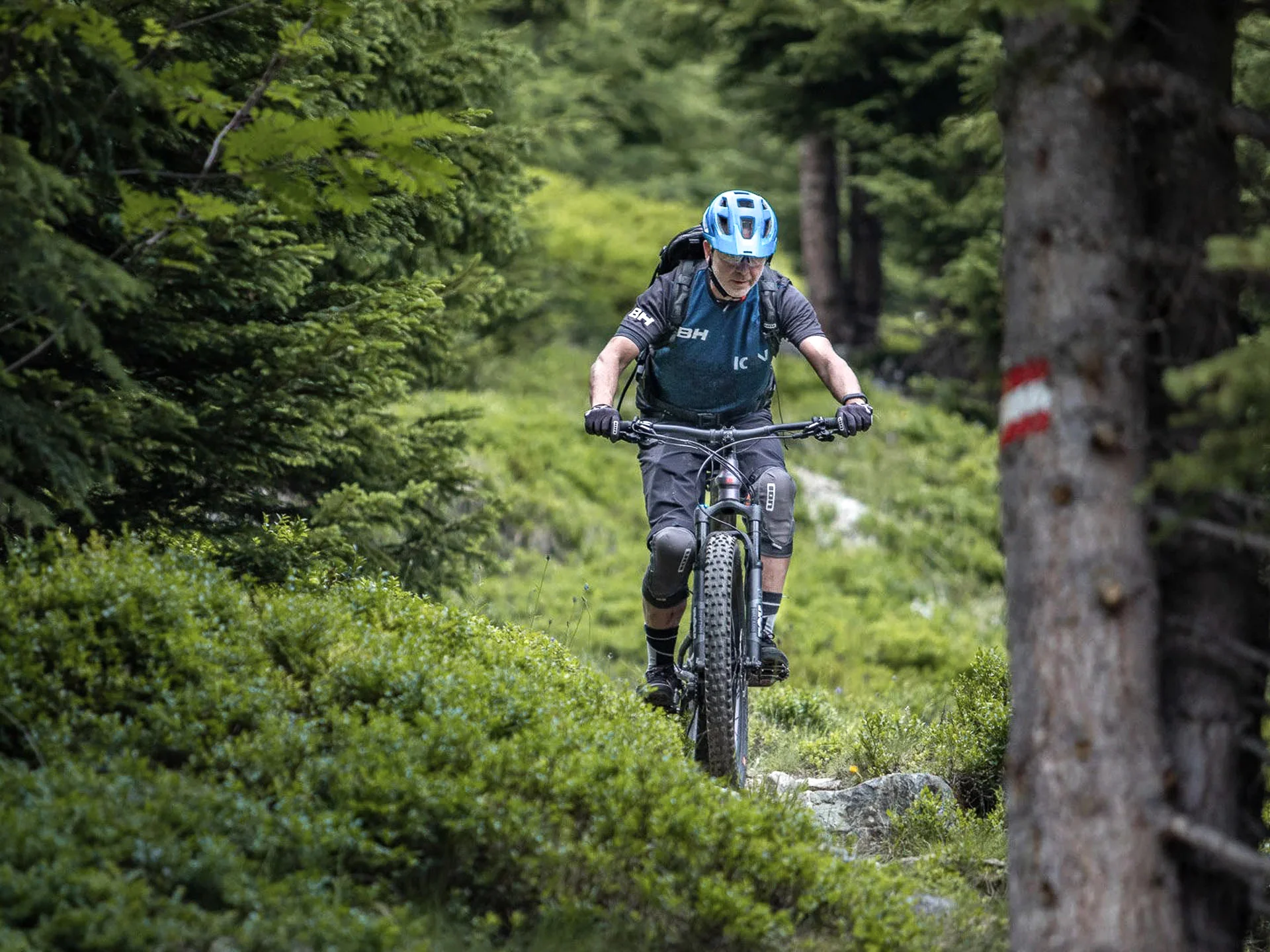 Pictures from Hotel Salnerhof Mountain biker riding on a narrow forest trail surrounded by green trees