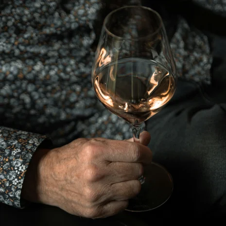 Hier sind Weinliebhaber genau richtig. Hand hält ein Weinglas mit Roséwein vor dunklem Hintergrund