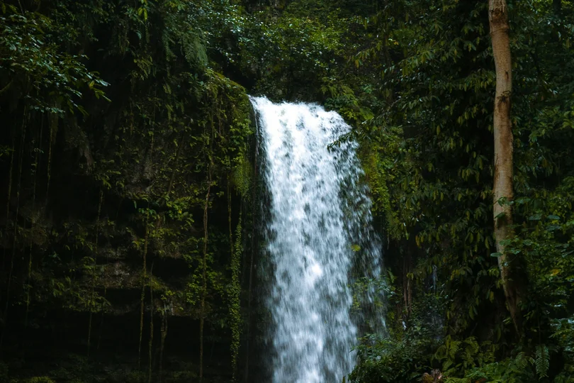 Ihre Anreise zum Salnerhof in Ischgl Wasserfall in einem dichten grünen Wald mit Felsen im Vordergrund