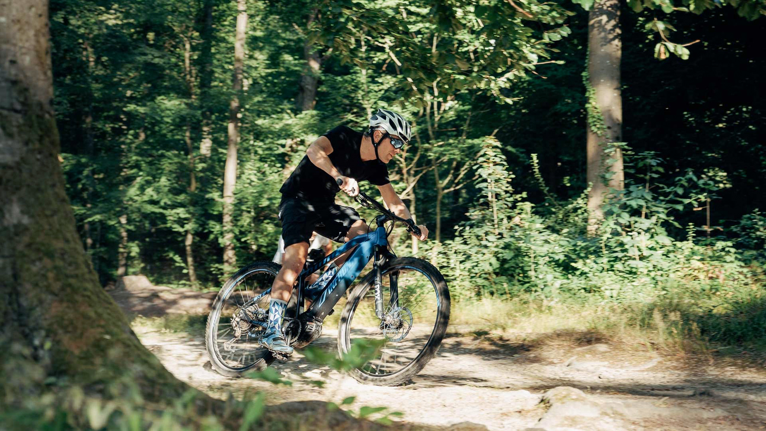 Die Bilder aus dem Hotel Salnerhof Mann fährt Mountainbike auf Waldweg bei sonnigem Wetter
