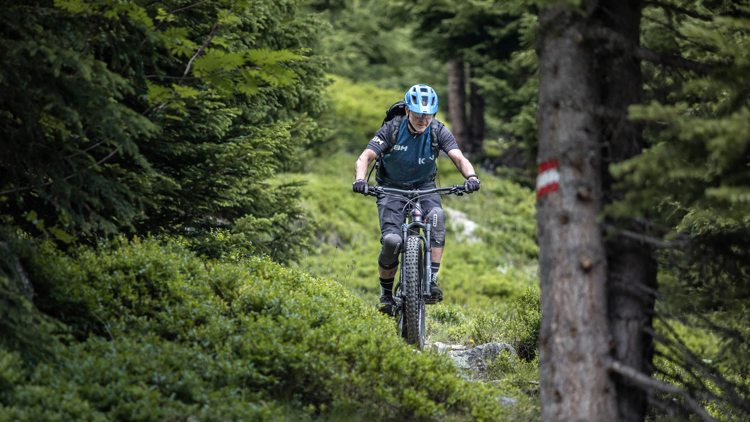 Die Bilder aus dem Hotel Salnerhof Mountainbiker fährt auf einem schmalen Waldweg zwischen grünen Bäumen