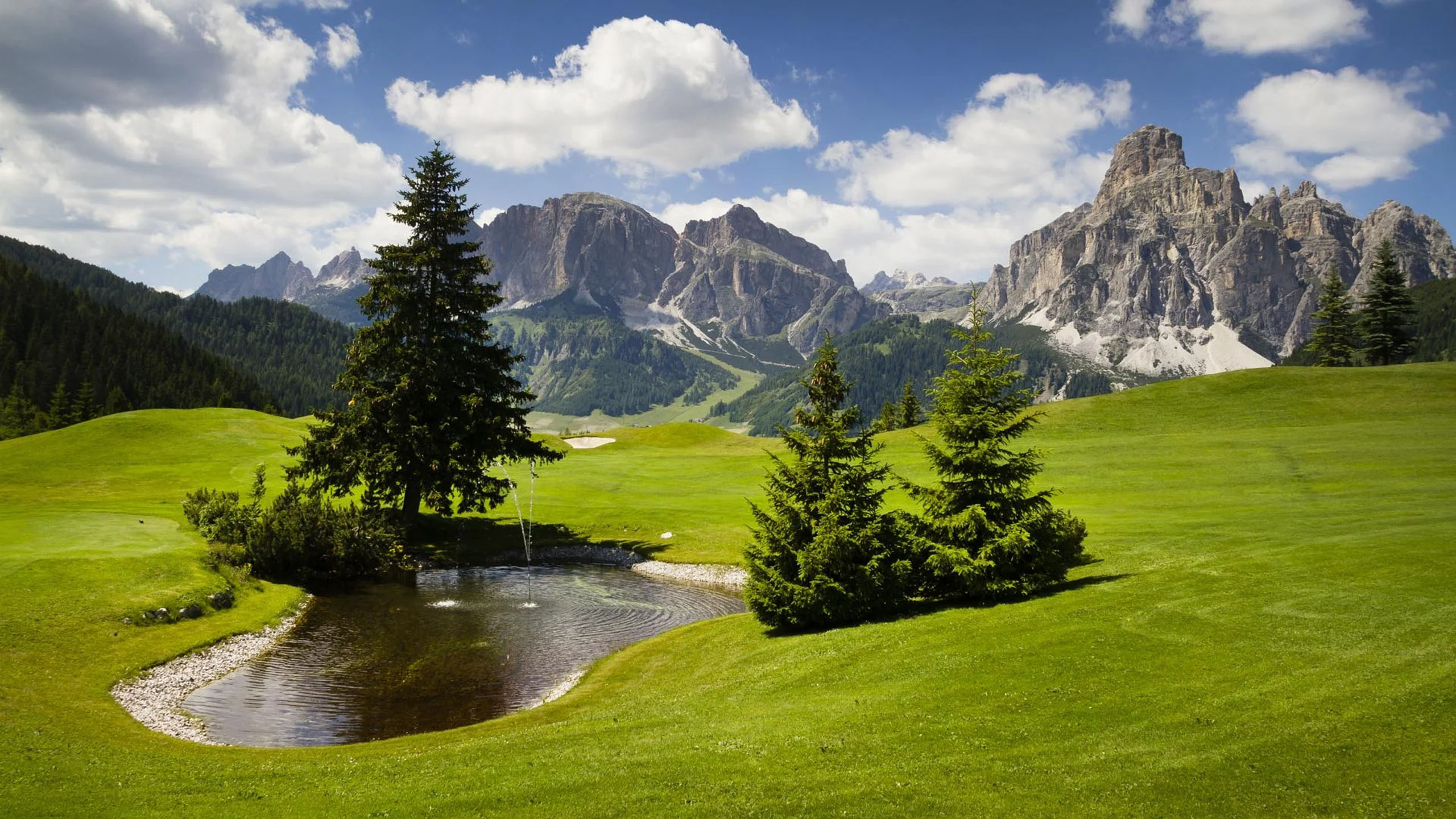 Die Bilder aus dem Hotel Salnerhof Grüne Wiese mit kleinen Tümpeln und Bergen im Hintergrund unter blauem Himmel